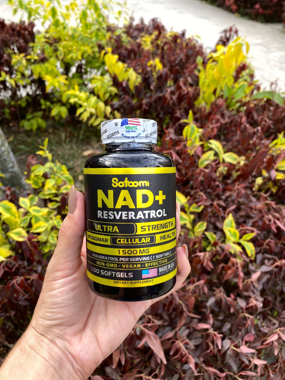 RESVERATROL NAD